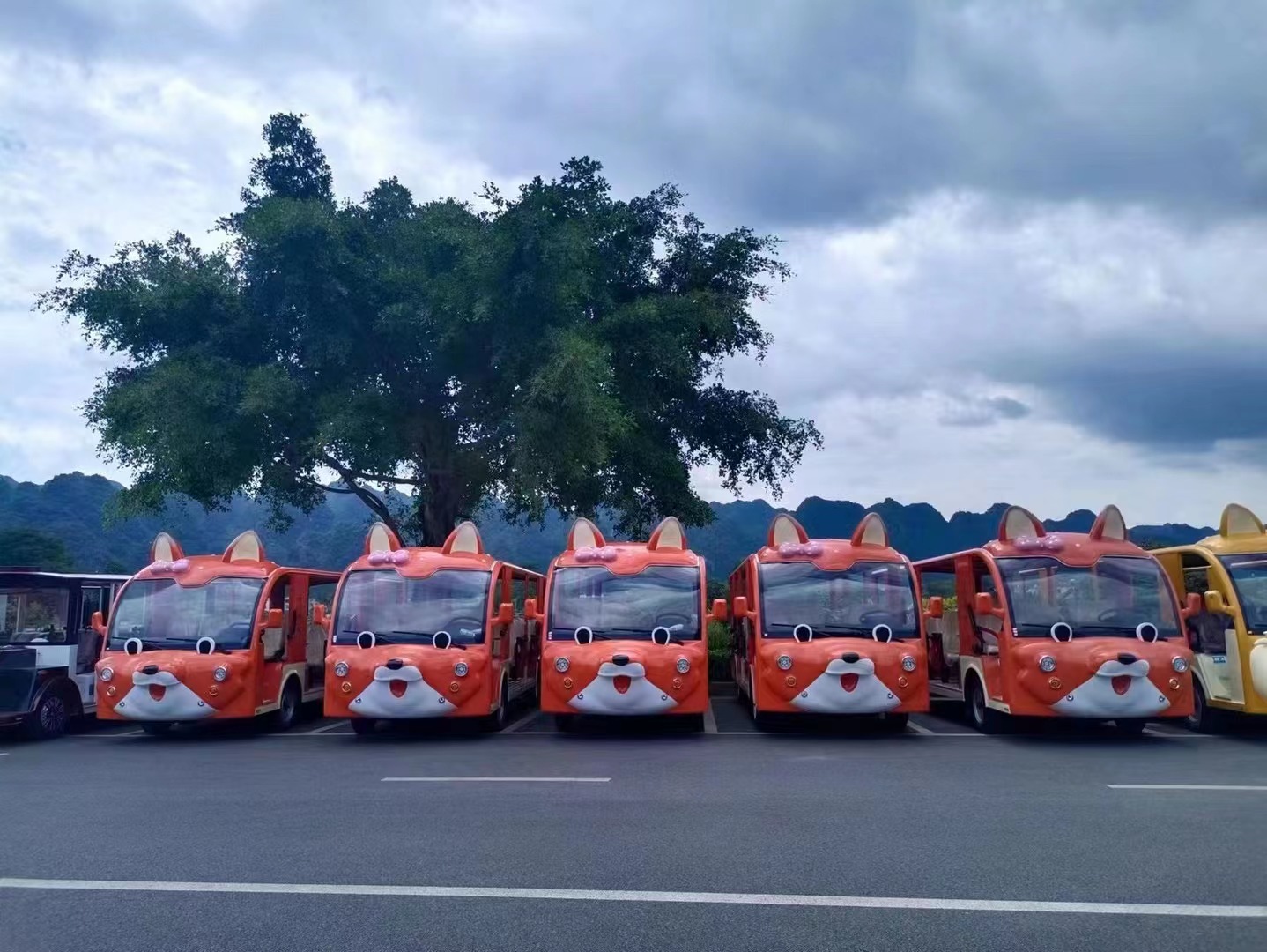 電動(dòng)觀(guān)光車(chē)在旅游產(chǎn)業(yè)中扮演著怎樣的角色？